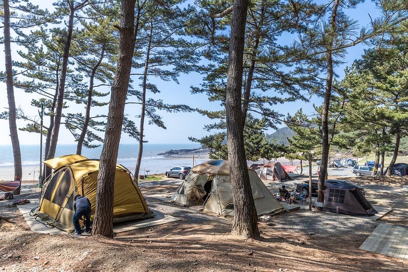 사목힐링캠프 태안캠핑농원 시설 사진 6