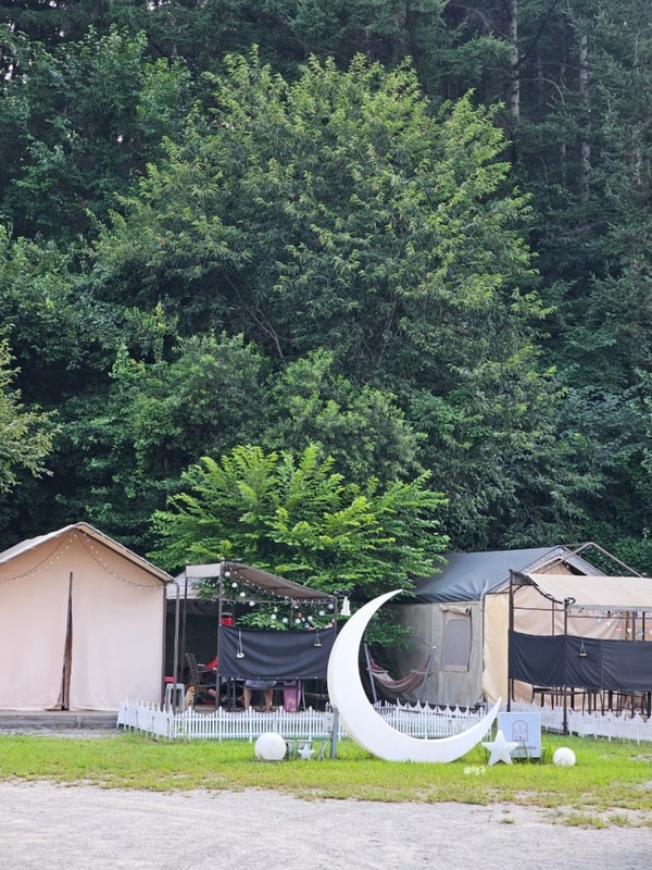 애견 동반 가능한 홍천불멍멍글램핑캠핑장 내돈내산 찐 후기