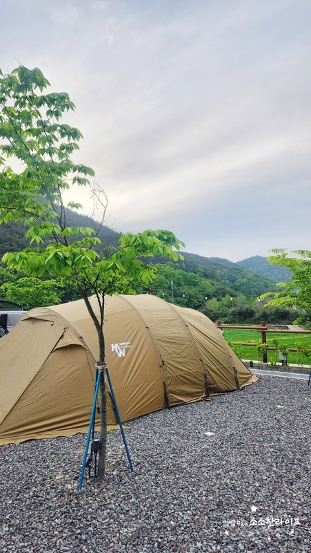 캠핑일기 #43 의령캠핑장 플로라캠프 아이가 놀기 좋은 곳