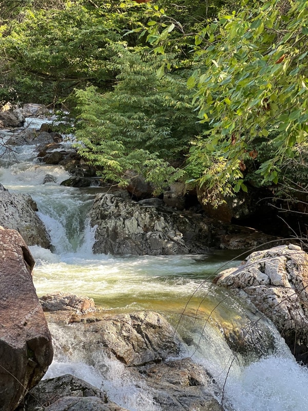 [영동] 맑은누리캠핑장 | 계곡캠핑장 | 영동맑은누리캠핑장...