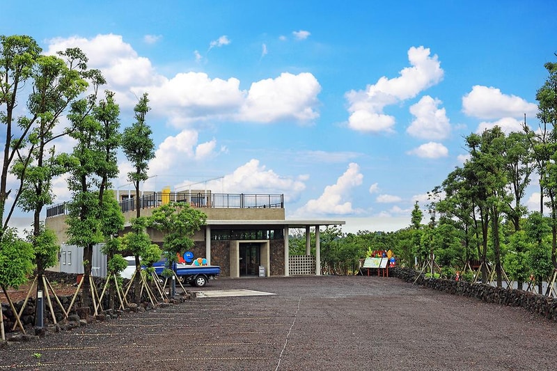 아이올레 인 포레스트 캠핑 시설 사진 12