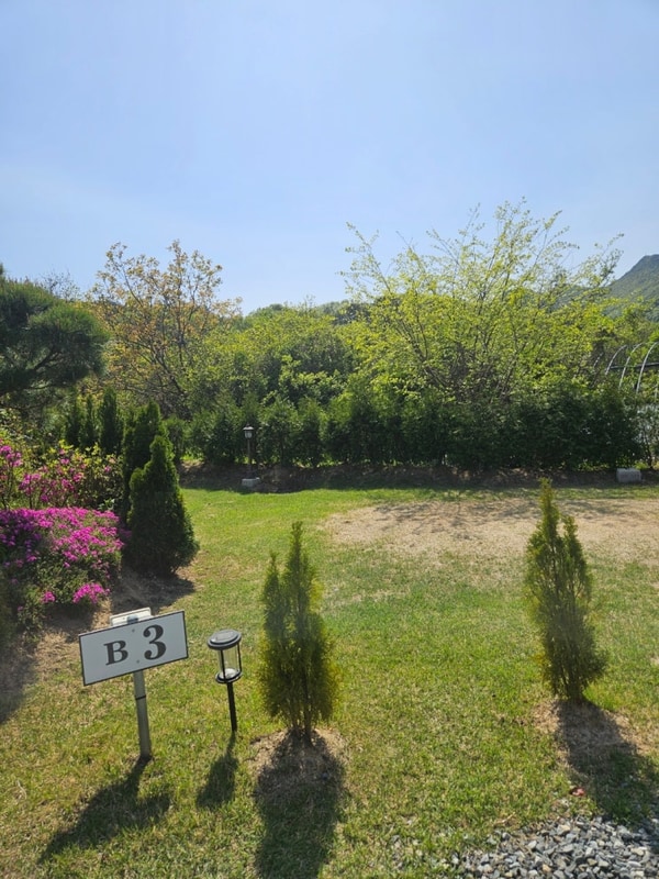대전 근교 캠핑장 공주 동학사힐링캠핑장 B3
