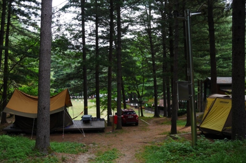경북 봉화 국립청옥산자연휴양림 4/4 - 불편한 (제5)야영장...