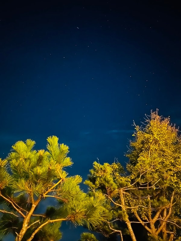 #25.11.10 그때 그 캠핑장 (2박)