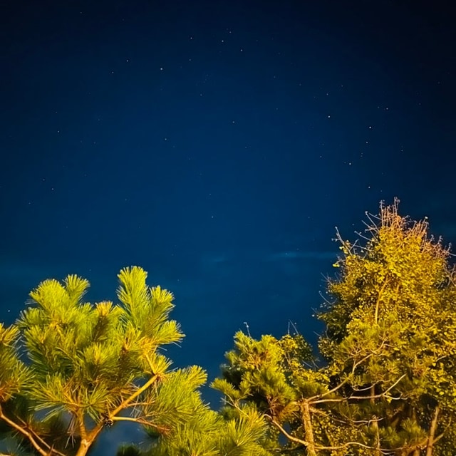 그때 그 캠핑장 대표 사진