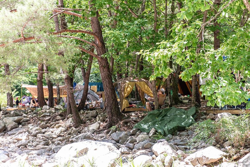 북극곰 야영장 시설 사진 15