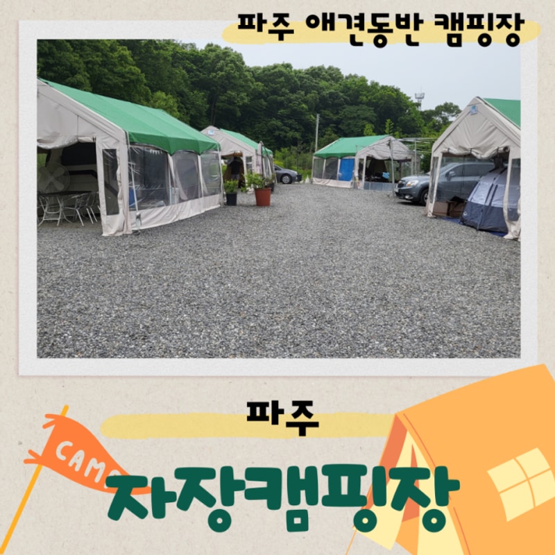 파주 자장캠핑장! 애견동반되는 타프 캠핑장이라 좋아요~(b8자리)