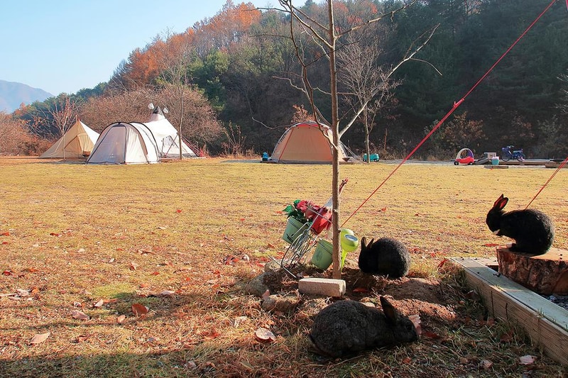 낭만캠프 시설 사진 2