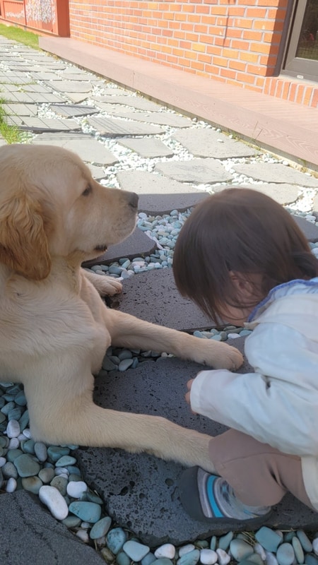 반하면 캠핑장 근처 유구읍 가볼 만한 곳
