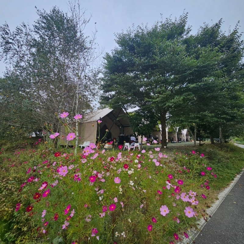 강원도로 추석여행 떠나요 3일차 - 홍천 달콤한 캠핑장