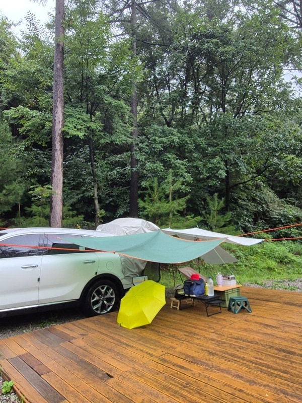 비 오는 날 강원도 여름 캠핑  국립화천숲속야영장 캠핑하려다...