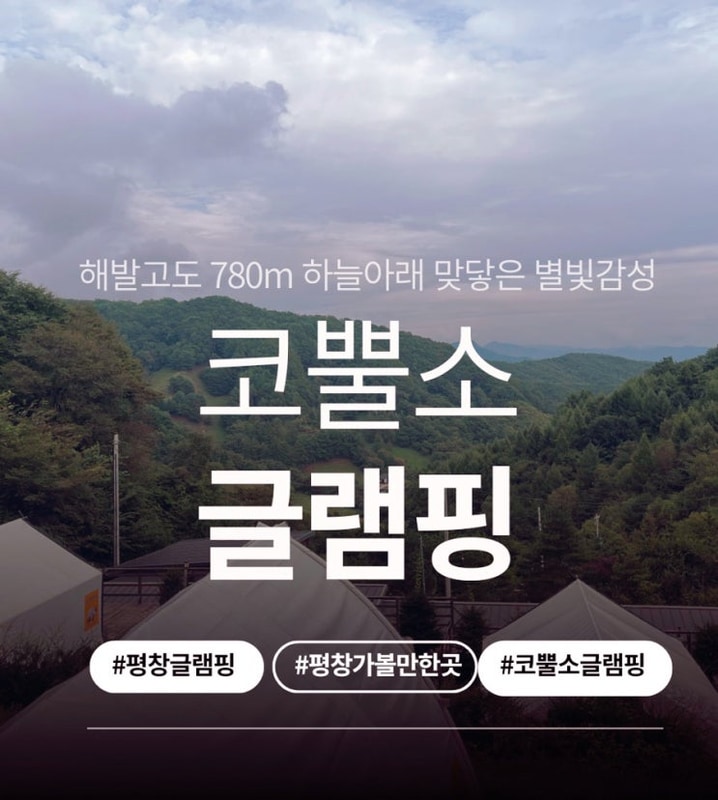 10개월 아기랑 강원도 평창여... 방림싸롱/코뿔소글램핑)