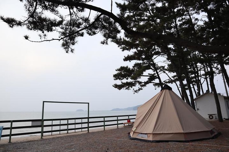 몽산포오토캠핑장 2구역 대표 사진