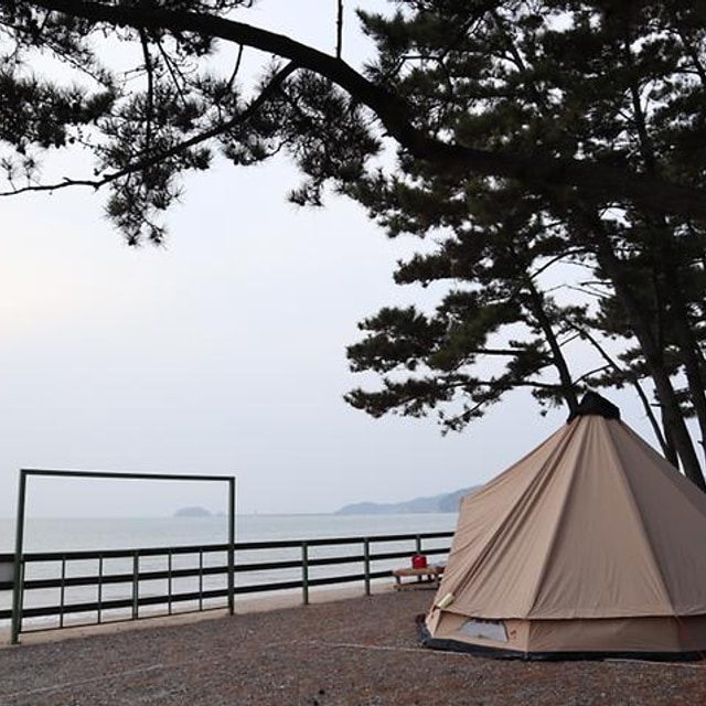 몽산포오토캠핑장 2구역