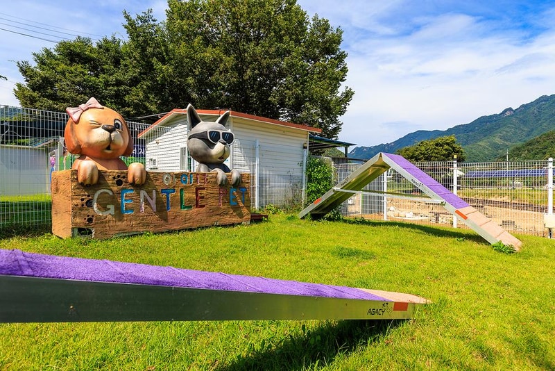 젠틀펫 파라다이스 시설 사진 11