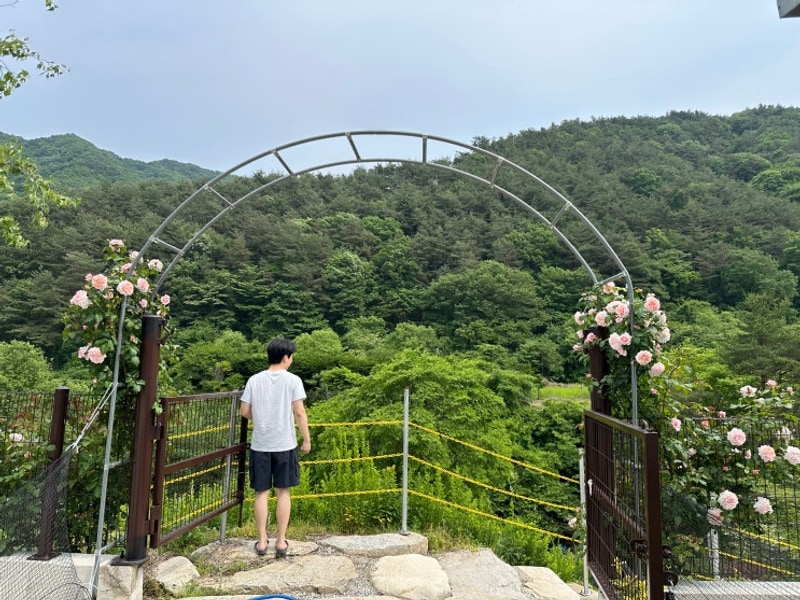 25년도 두 번째 캠핑_함양 자작나무뜰 오토캠핑장