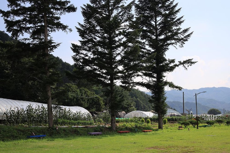 횡성 노다지야영장 불타는 삼촌 시설 사진 16