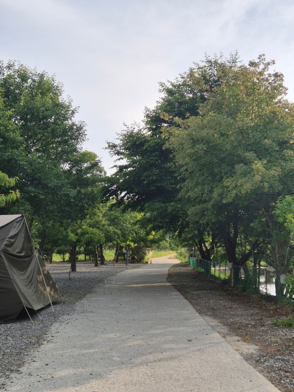 ⛺️ 속리산 알프스캠핑장 2박 3일 후기