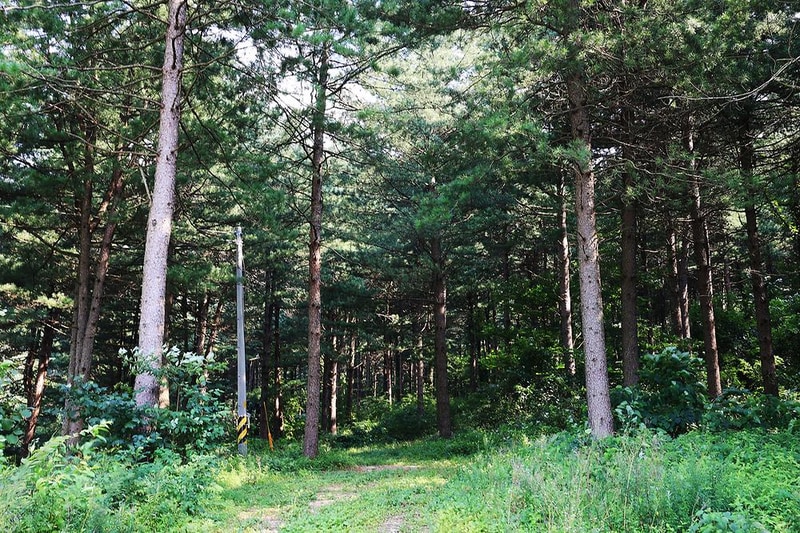 모짜르트 시설 사진 4