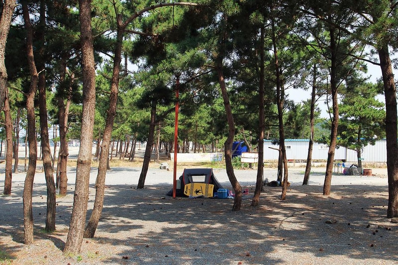 어은돌송림캠핑장 시설 사진 3