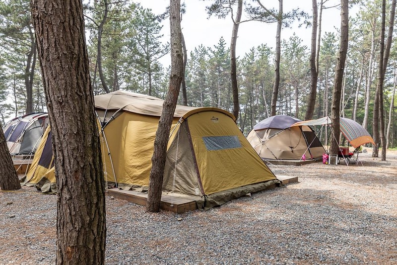 장항오토캠핑장 시설 사진 1
