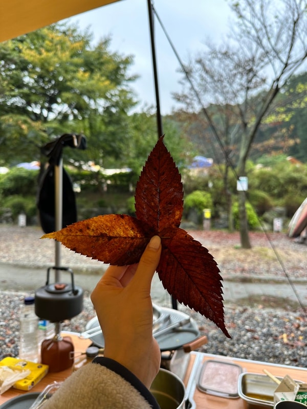 [군포] 초막골 생태공원 느티나무 야영장 가을 우중 캠핑 후기