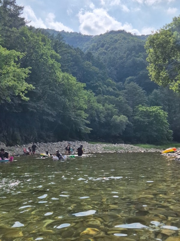강원도 영월 김삿갓계곡캠핑장
