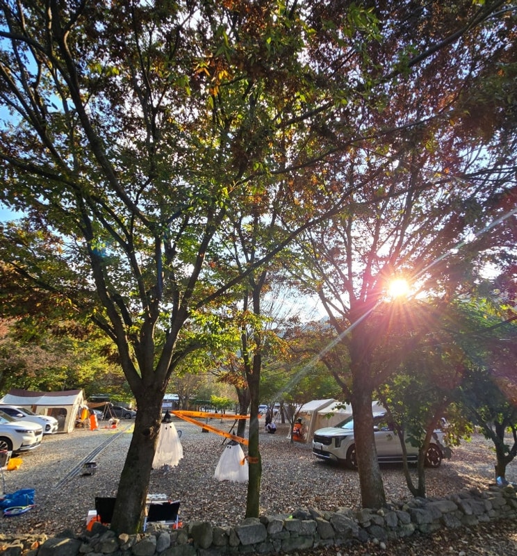 경북 문경 캠핑장 카라반 진입 가능한 숲이조아 오토캠핑장에서...