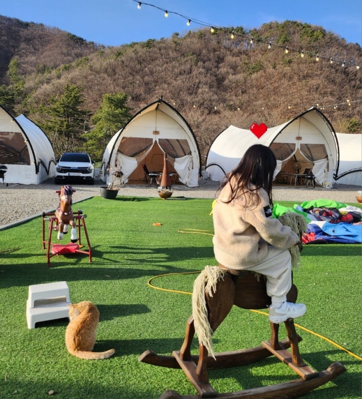 [천안/아산] 글램핑 :: 천안 디디 글램핑 / 첫 글램핑 성공적으로...
