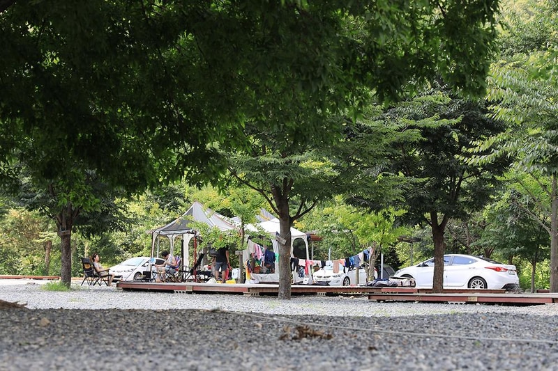 뉴힐링캠프 시설 사진 19