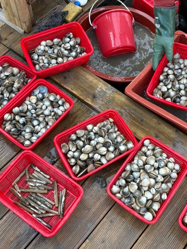 [캠핑20] 갯벌체험,바다뷰... 세박자를 갖춘 태안머드오토캠핑장