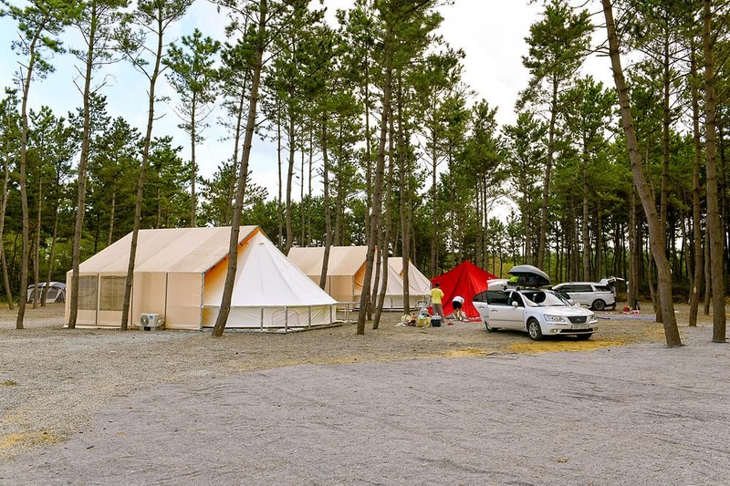 신두리정원오토캠핑야영장 시설 사진 2