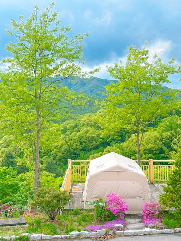 스칼라캠프장 뷰는 완벽했으나 통데크는 가지말아요...