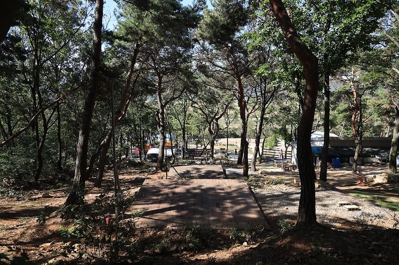 강화도 아침 숲속야영장 시설 사진 23