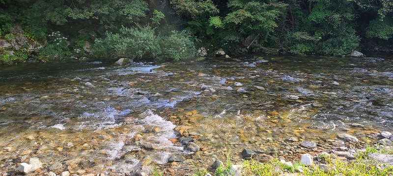 리프레쉬 캠핑장 시설 사진 9