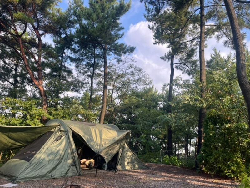 [충남 당진] 여름 캠핑 아잘리아그린 F1-2 사이트 내돈내산...