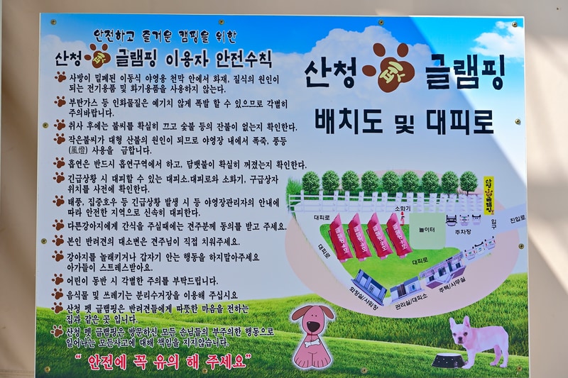 산청펫글램핑 배치도 1