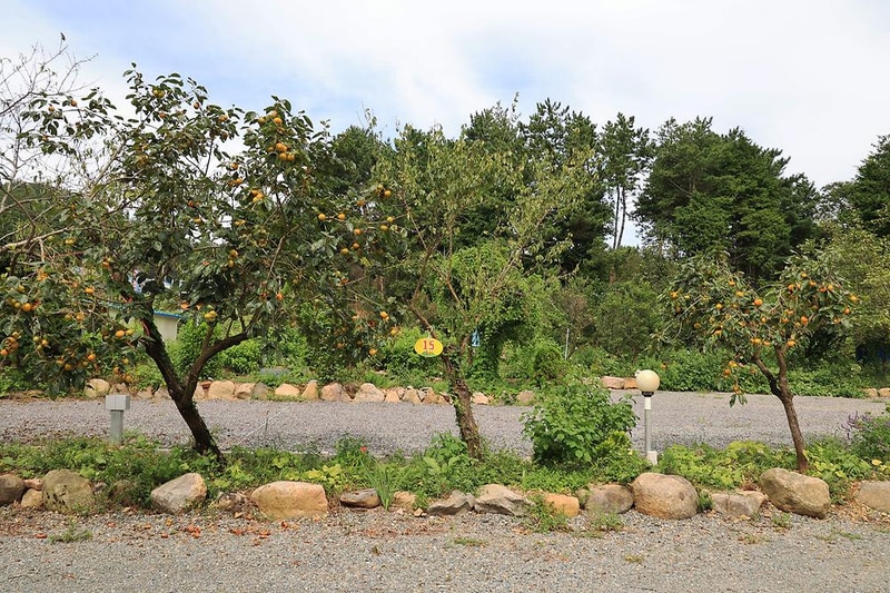 남해 에덴 캠핑장 시설 사진 3