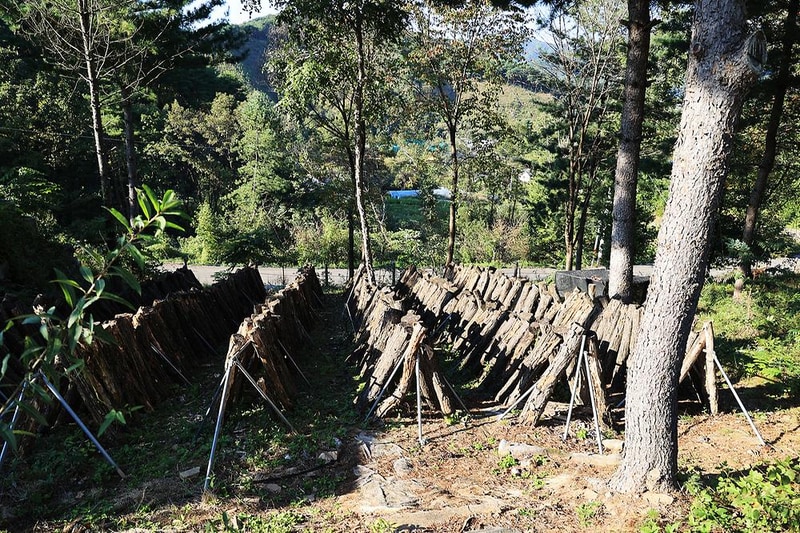 금옥골 숲속작은마을 시설 사진 18