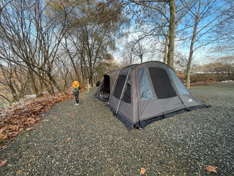 [캠핑 후기] 연천 평화강변수목캠핑장 : 서울에서 1시간...