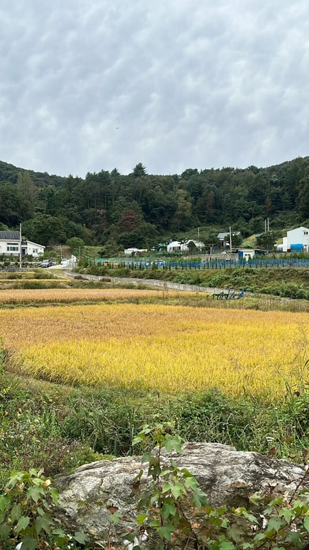 경기도 용인_서울근교 캠핑장추천 용인 별아래 캠핑장에서...