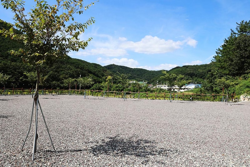 플로라 캠프 시설 사진 12