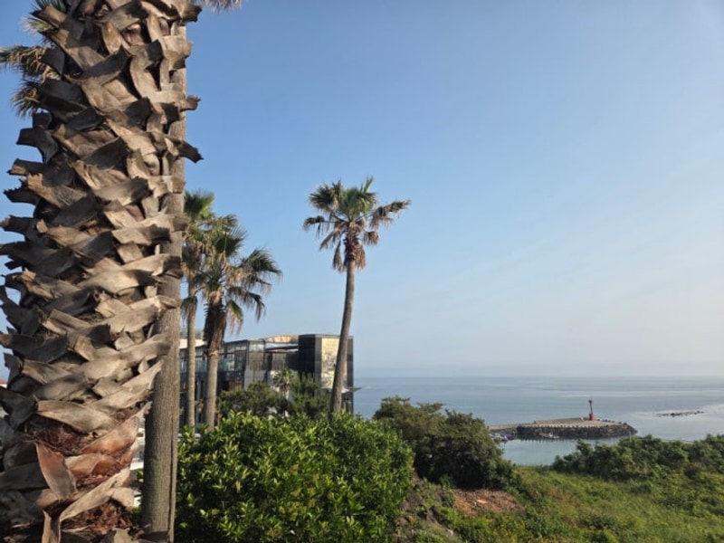 가성비 제주숙소. 다인리조트 카라반