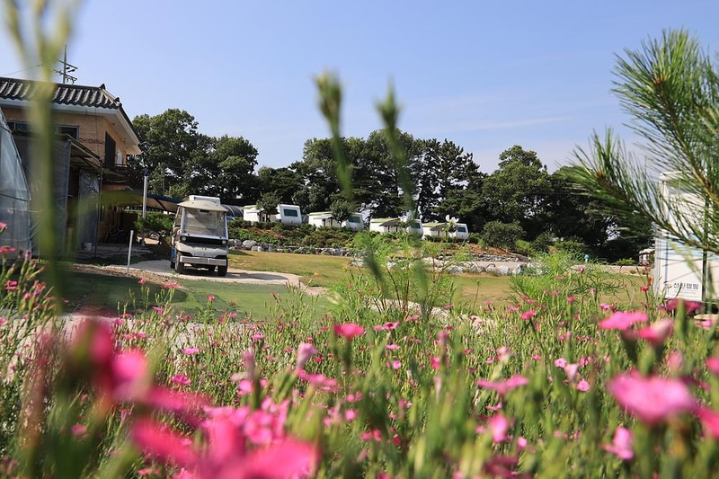 클럽레스피아in삽교바다공원 시설 사진 8