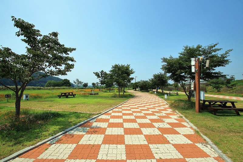 청양 동강리 오토캠핑장 시설 사진 2