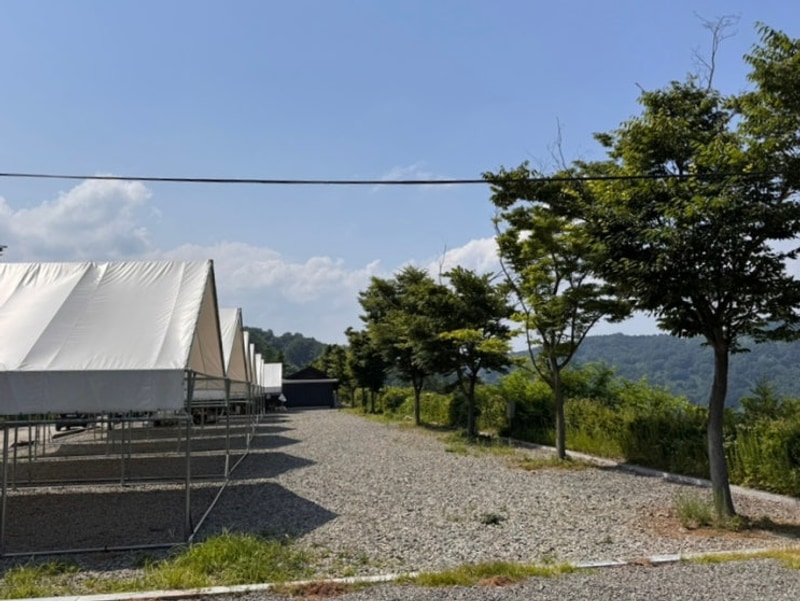 캠핑기록#7 2025.06.13~15 경남 합천호코지캠핑장 타프존4