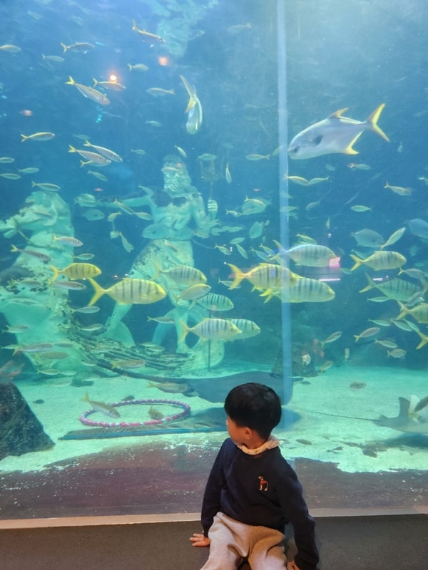 금산 라라랜드 글램핑