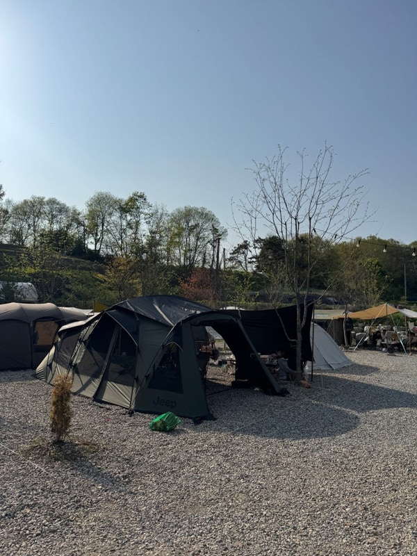 ️여주 그린바움 캠핑장 (강아지 동반, 샤워시설, 무인매점...