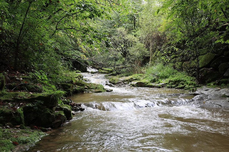 평창바샘캠핑장 시설 사진 12