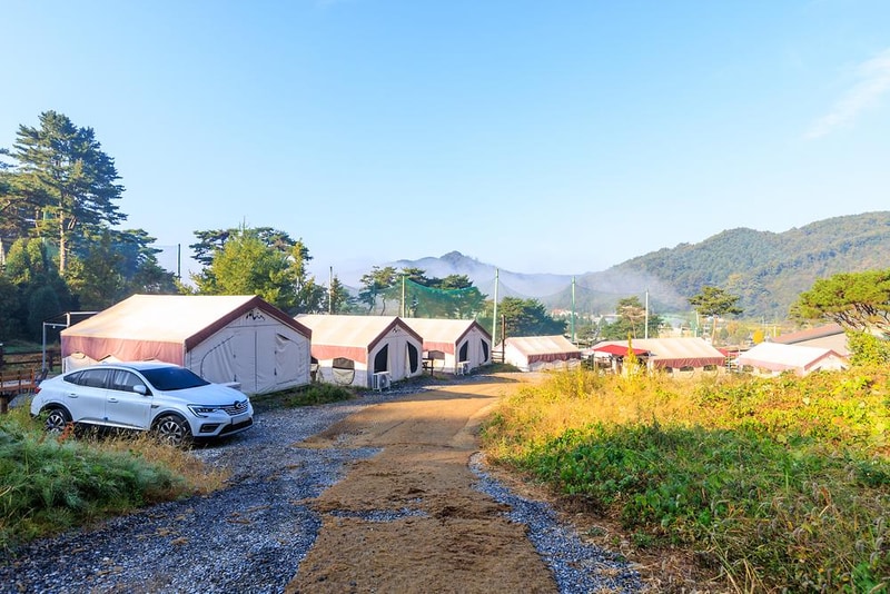 토마스캠프&레드캐빈 시설 사진 16